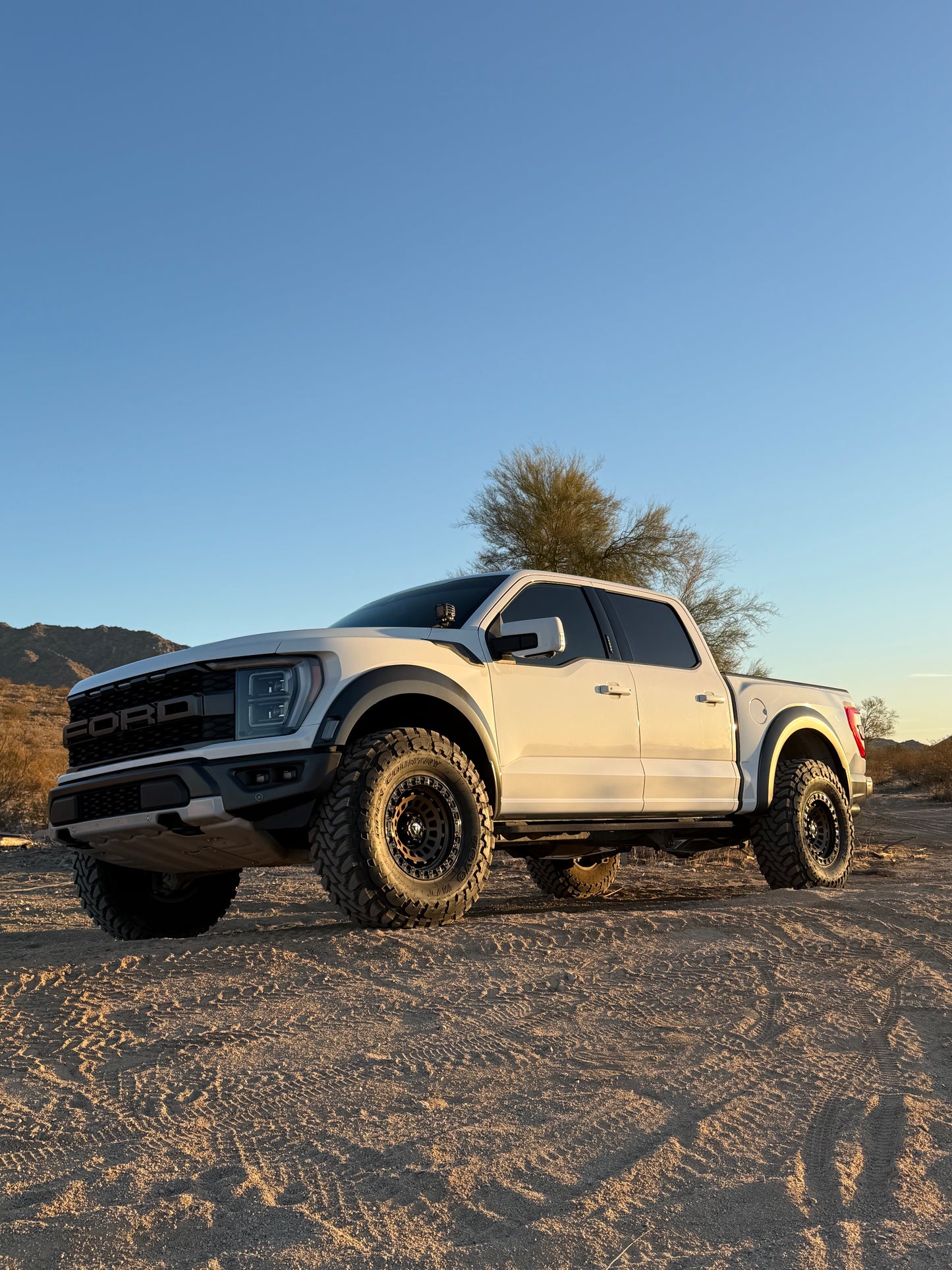 Ford Raptor Gen3 Trailing Arms